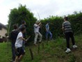 /album/atelier-jardinage-exterieur-1er-mars-22-mai/a2b-jpg/