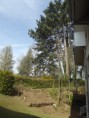 /album/atelier-avant-apr%c3%a8s/jardin-2-jpg/