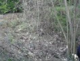 /album/avant-apr%c3%a8s/jardin-1-jpg2/