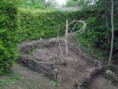 /album/avant-apr%c3%a8s/jardin-3-jpg2/